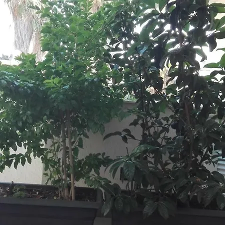 La Casa Bianca *